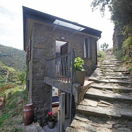 Fiesse Cottage Manarola Exterior foto