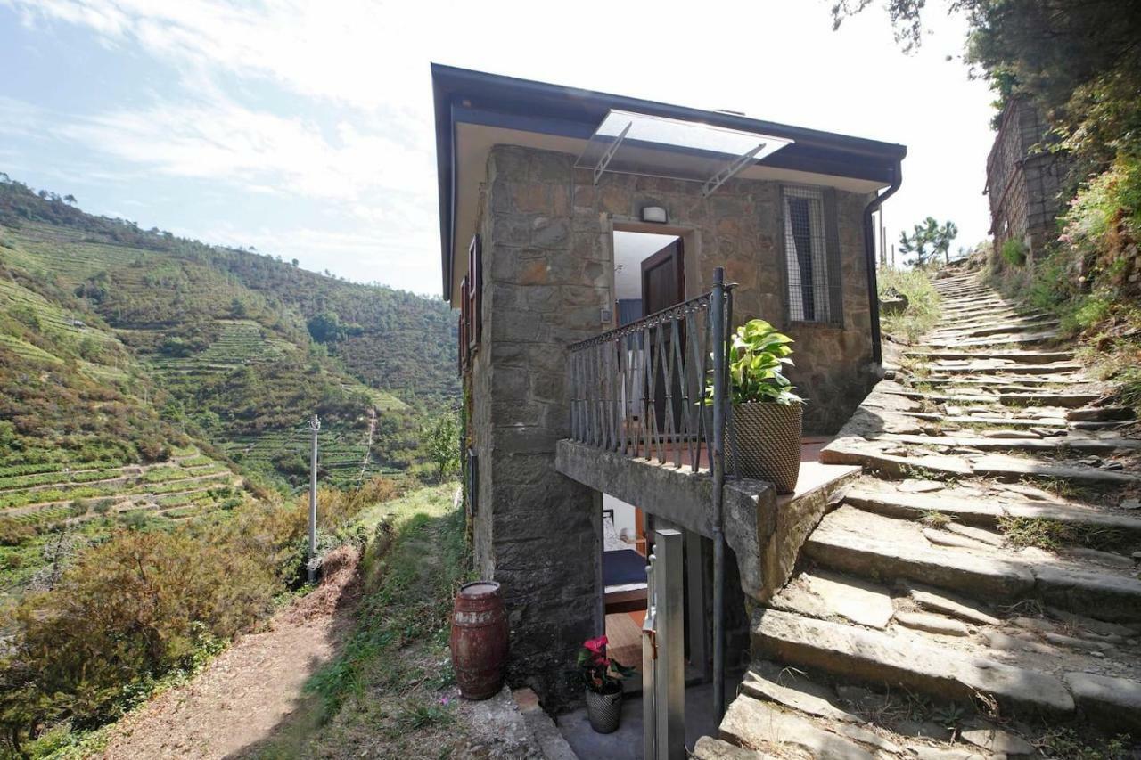 Fiesse Cottage Manarola Exterior foto